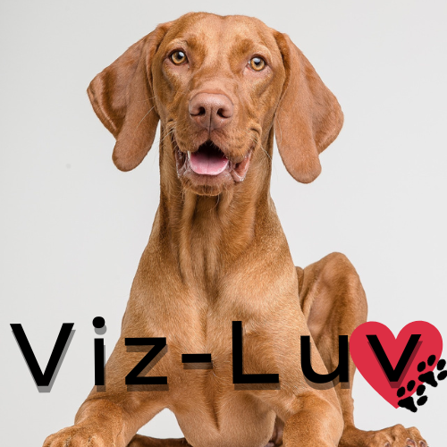 Viz-Luv